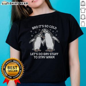 Pretty Bro It's So Cold Let's Do Gay Stuff To Stay Warm Ladies Tee, featuring a fun graphic design for cozy winter vibes.