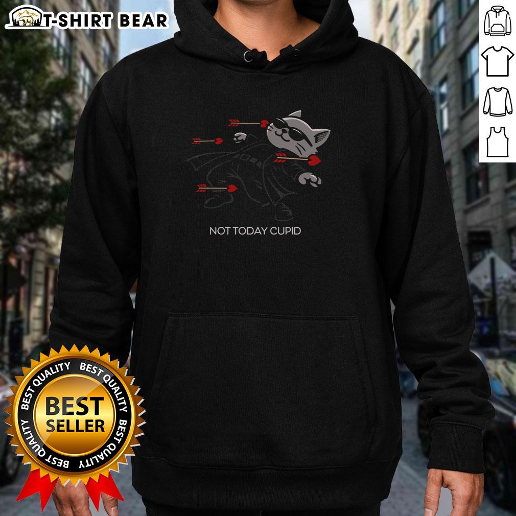Premium Not Today Cupid Matrix Bullets Dodge Cat Hoodie featuring a fun graphic design and cozy fit for cat lovers.